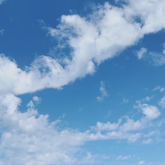 Meet your Posher, Kayla - Picture 1 of 1